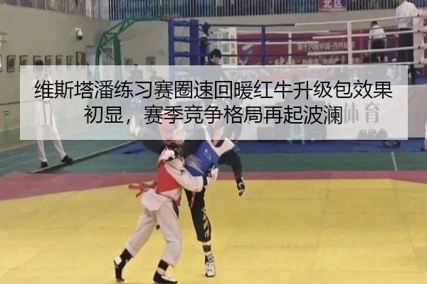 维斯塔潘练习赛圈速回暖红牛升级包效果初显，赛季竞争格局再起波澜
