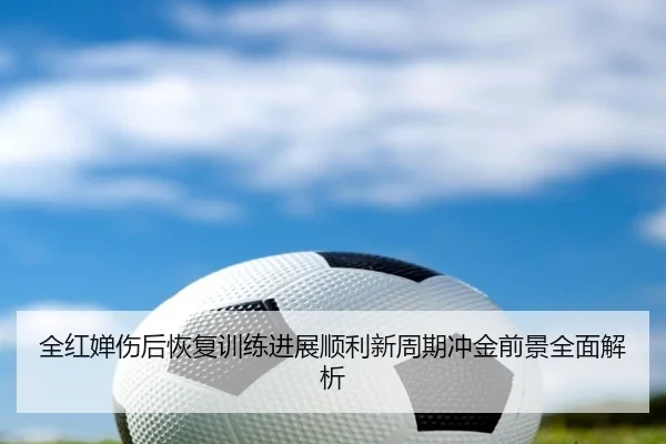 全红婵伤后恢复训练进展顺利新周期冲金前景全面解析
